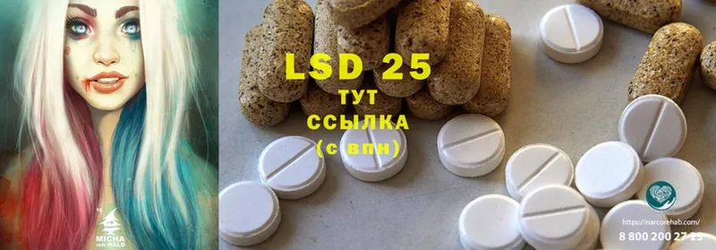 купить наркотик  Курлово  LSD-25 экстази кислота 